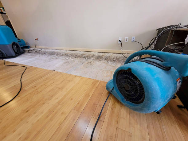 Professional Basement Flood Cleanup technician working in Lowell, MA